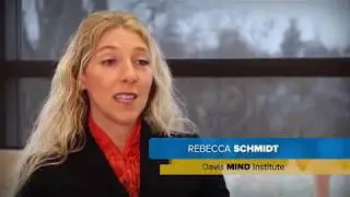 Dr. Rebecca Schmidt discusses prenatal vitamin use and autism risk
