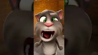#video #cat #games #animalsong