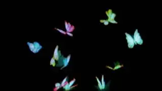butterfly overlay