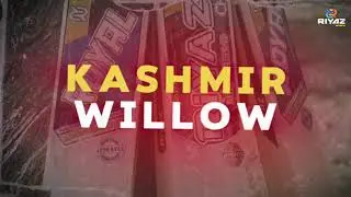 From Raw Willow to Royal Bat: Inside the Riyaz Sports Custom Bat Workshop