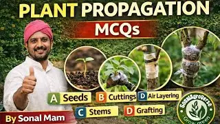 Plant Propagation MCQ for all agriculture exams,JRF, M.sc,ICAR,AFO, NABARD, Bihar Agriculture exams.
