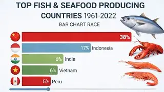 Top Fish And Seafood Producing Countries (1961-2022) | Bar Chart comparison #fish #seafood