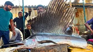 KASIMEDU MINNAL RAJA MAIL KOLA FISH 🐟 CUTTING VIDEO \ CUTTING FOCUS