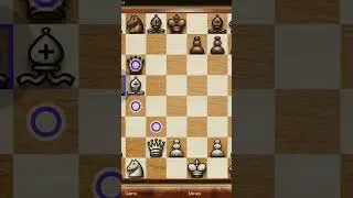 Double bishop mate! #chess #checkmate #topchess