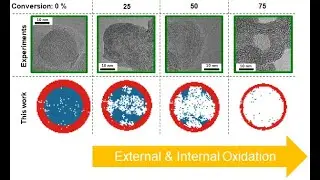 Pore Structure Dynamics of Carbonaceous Particles by Surface and Internal Oxidation