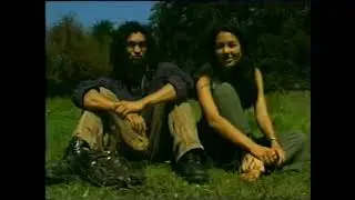 Boa, Glastonbury 1995