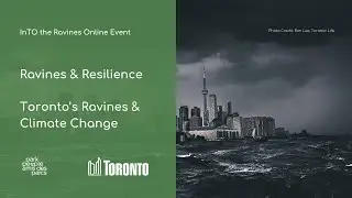 Ravines + Resilience: Toronto&rsquo;s Ravines and Climate Change