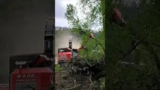 Umwelt Zerst&ouml;ren Wald roden mit Monster Maschine
