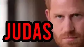 Judas Prince Harry's Fake Reconciliation Feelings! Judas Will Never Change!