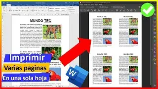 Cómo imprimir múltiples páginas en una sola hoja | REPETIR IMPRESION EN UNA SOLA HOJA VARIAS VECES