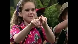 Barney & The Backyard Gang Campfire Sing Along