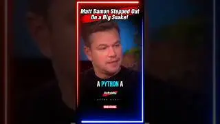 Matt Damon Stepped out on huge Python #ytshorts #hollywood #celebrity