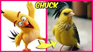 Angry Birds 3 in REAL LIFE and their Favorite DRINKS & Other Favorites | Red , Chuck, Leonard
