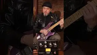 Warm Audio Limiting Amplifier Pedall76
