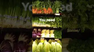 Healthy Bird Diet Tips