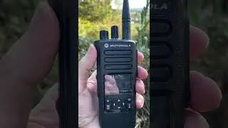 Test Motorola dp4600e en pmr 446 ￼