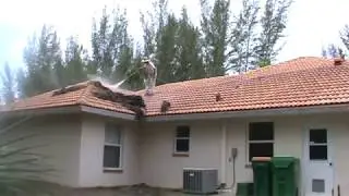 Bergman Pressure Cleaning Cleans off roof in South Gulf Cove 33981