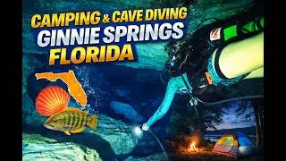 Free Diving, SCUBA, and Camping Weekend at Ginnie Springs Florida
