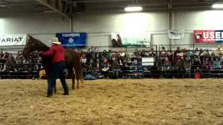 Guy McLean Equine Affaire 2011 (3)