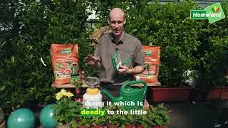 Nematodes - Lawn Pest Control - Leather Jackets & Vine Weevil
