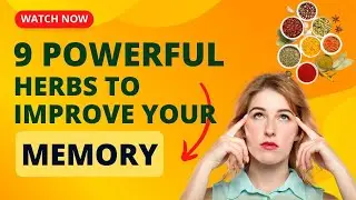 Top 9 Powerful Herbs to Improve Your Memory | Herbs For Brain Health