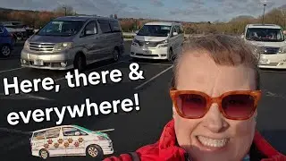 OUT & ABOUT #campervanningwithcavaliers #dailydrive #drive #park #toyotaalphard #vanlife #campervan