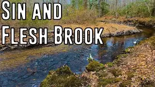 The Story of New England's Darkest River Name-- Sin and Flesh Brook, Rhode Island -- Sip Trips