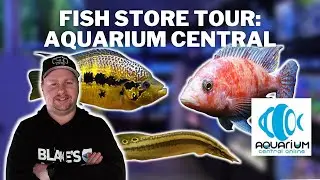 Fish Store Tour - Aquarium Central, Kunda Park, Sunshine Coast, Australia