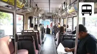 Scania N113CRB CAC - SBS Transit Bus Service 66 (Audio)