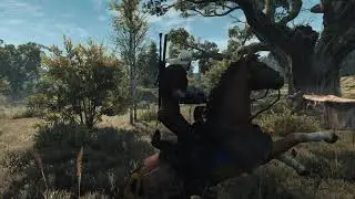 The Witcher 3 Immersive Lighting Velen Short Fight