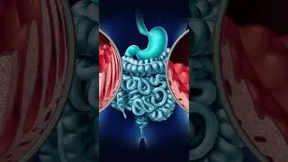 Celiac Disease Explained | Symptoms, Causes & Gluten-Free Nutrition Tips