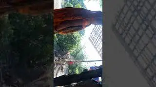 Mujhe helppa chathiy keo ki pichale 8sal se mujhe luta jarha hai