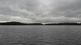 Loons on Beartrack Lake BWCAW