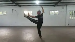 Tan Tui - Shaolin Norteño