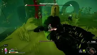 Another Crabs Treasure: Diseased Lichenthrope