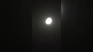 Xiaomi 14 ultra 4k 60fps zoom test on video,, тест зум в 4к 60фпс