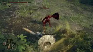 Ash of War: Sword Dance is Very Underrated - Elden Ring PvP