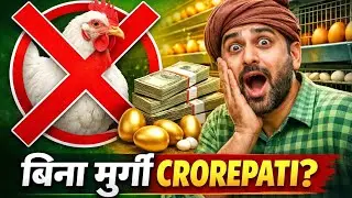 No Chicken Poultry Farming | High Profit Business Idea India