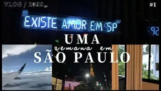 VLOG SÃO PAULO: *aeroporto, chegada em sp, av paulista e tokyo bar*