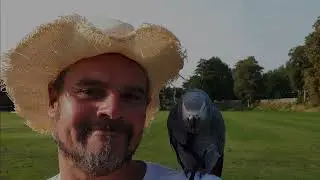 A Parrot Love Story