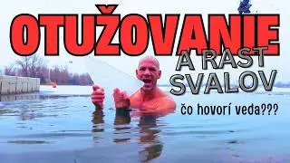 ❄️ Otužovanie a rast svalov. ❌ NEGAT&Iacute;VA, o ktor&yacute;ch si (URČITE) nevedel. 😫