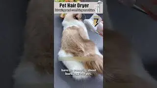 Low Noise Pet Hair Dryer with Slicker