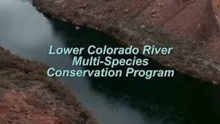 Lower Colorado River Mulit-Species Conservation Program