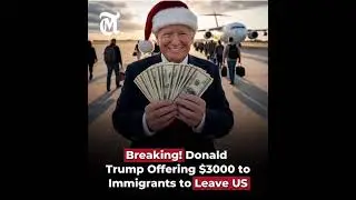 Trump Christmas Offering To The Immigrant @dmailnewschannel