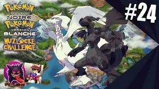 Let's Play Pok&eacute;mon Noir Blanc Nuzlocke Challenge #24 Coop Croller1811 La Tour Dragospire