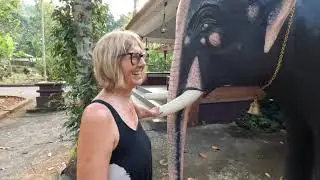 RETIRED ENGLISH COUPLE TRAVEL SOUTH INDIA PART 8 - KANNUR   SD 480p