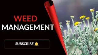 |WEED MANAGEMENT| |BY RS MEENA| B.Sc AGRICULTURE| JRF SRF & NET|
