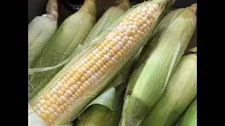 FRESH CREAMED CORN