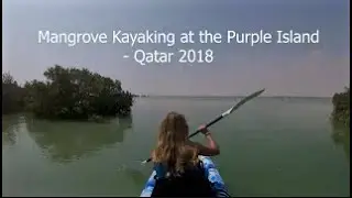 Mangrove Kayaking at Purple Island / Qatar