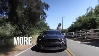 Energy Suspension Ford S550 Products